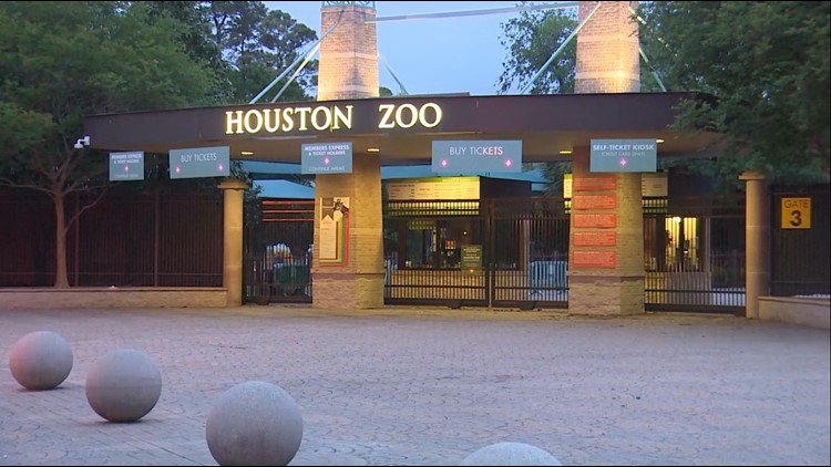 KHOU's tweet image. HPD investigating after attempted abduction of 6-year-old at Houston Zoo on.khou.com/2IxZmEI