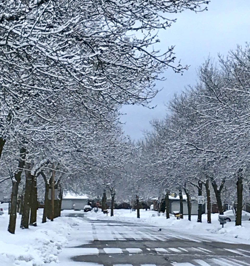 Starting Day 2 with a little snow on the trees #readyforspring