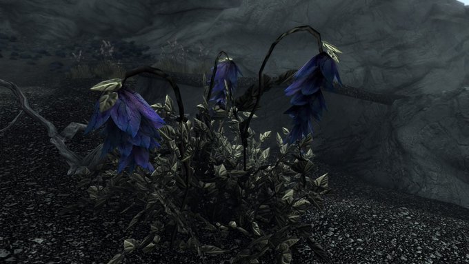 スカイリムの盗賊ギルドに登場する 特殊任務 について解説