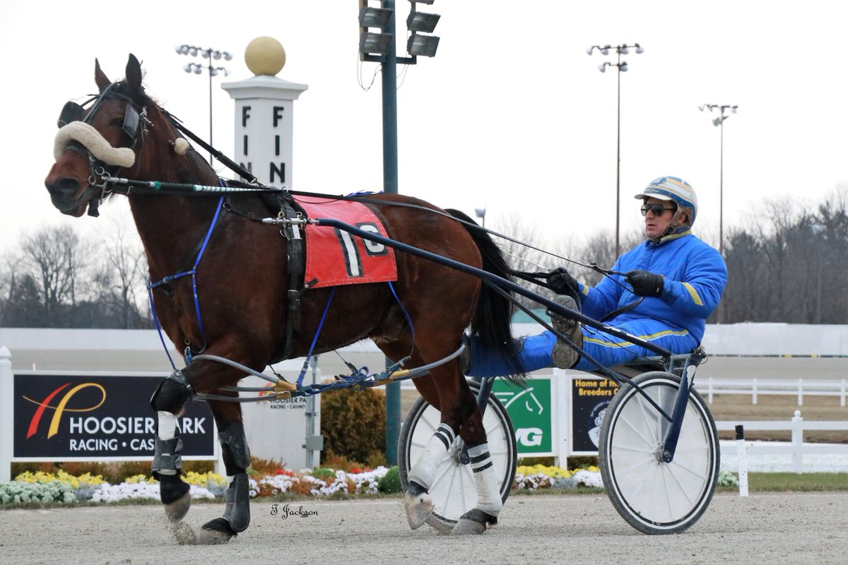 hoosiernations's tweet photo. GoodMorning @Chris_wponies @JoannKi32885615 @rebelsart @vnssa926 @dolenski_john @jtlburn @kimberlymoier @HoP_Racing @KathleenBaitzel @SadandSulk #Cantescapemydesire #DaleHiteman #PlayHP https://t.co/TxIB803ZYy