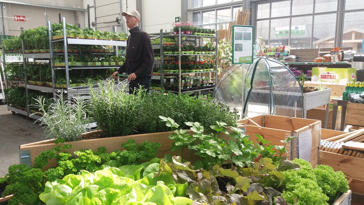 rob_televisie's tweet photo. Daar is de lente, daar is de zon! En dat voelen onze regiogenoten maar al te goed. Ze trekken massaal naar de winkel om de lente in huis te halen zoals hier in de @AVEVE #Wilsele. #robnieuws #robtv https://t.co/dPpOCGcJSO