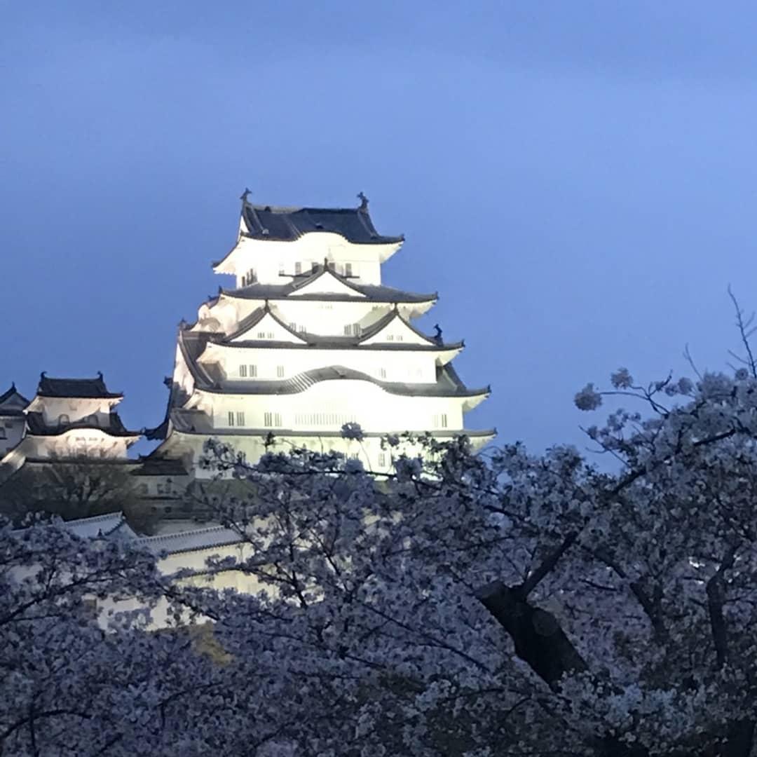 姫路城桜 Twitter Search Twitter