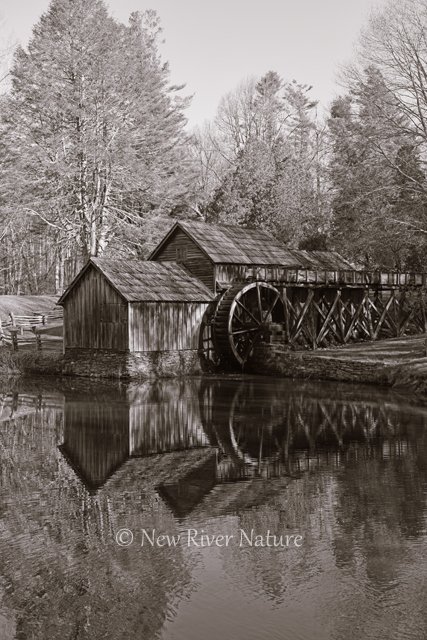 KerriFar's tweet photo. Mabry Mill ~ https://t.co/jxJVR5oWb0 ~ #MeadowsOfDan #PatrickCoVA ~ https://t.co/vF2JAIgEx8 ~ #LoveVA #VisitVA ~ from my visit last weekend. https://t.co/Uiv7YdUA7r