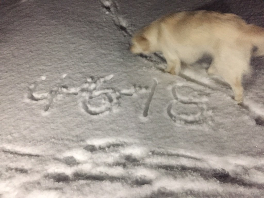 FishySnowborder tweet picture