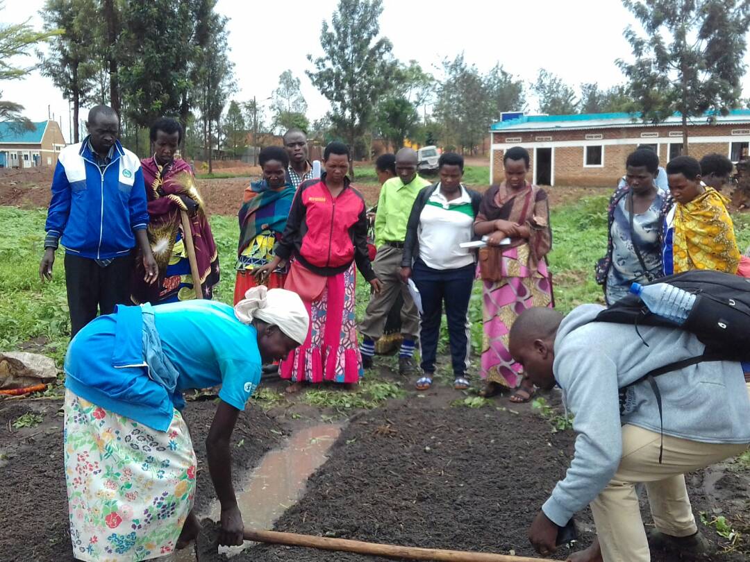 Rwanda_SMAP's tweet photo. RAB-SMAP @RwandaAgriBoard conducted #FFS-1 for coop farmers @NyagatareDistr today. RAB officers trained farmers how to prepare nursery bed and how to sow the vegetable seeds such as tomato, onion, cabbage, carrot, egg plant and dodo!! https://t.co/cLQiiEkas1
