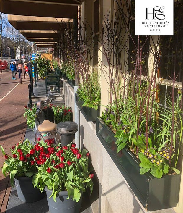 HotelEstherea's tweet photo. 'A tulip for every citizen of Amsterdam' 💐 is the motto of Tulip Festival 2018, which once again will be brightening up the Amsterdam streets throughout the whole month of April (or as long as the tulips are in bloom). Tulips will be on display across the city and also at Ho��� https://t.co/xcGo5YWAsh