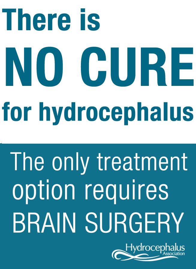 HAWALK_AL's tweet photo. *Fact Friday!!*
#Hydrocephalus #NoMoreBS #NoMoreBrainSurgery https://t.co/lme7MhOM5c