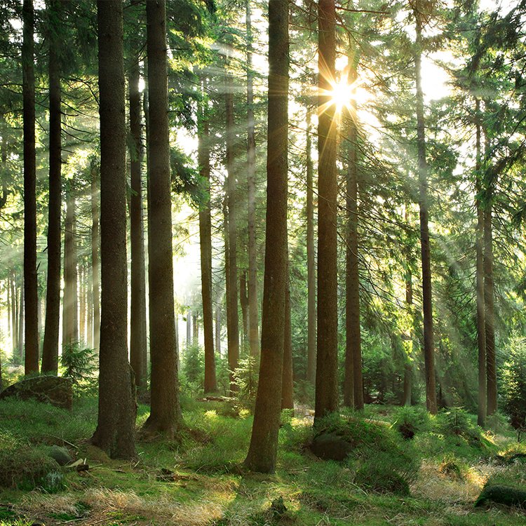 "Print heeft een duurzame toekomst" Zegt <a href="/werktrends/">WerkTrends</a> en hier zijn wij het bij <a href="/zalsmanprint/">zalsmanprint</a> helemaal mee eens! 
Wil jij ook duurzaam en relevant drukwerk voor jouw klant? Neem contact met ons op! werktrends.nl/print-heeft-ee…. Wil jij dit ook? Neem contact met ons op! #duurzaam #print