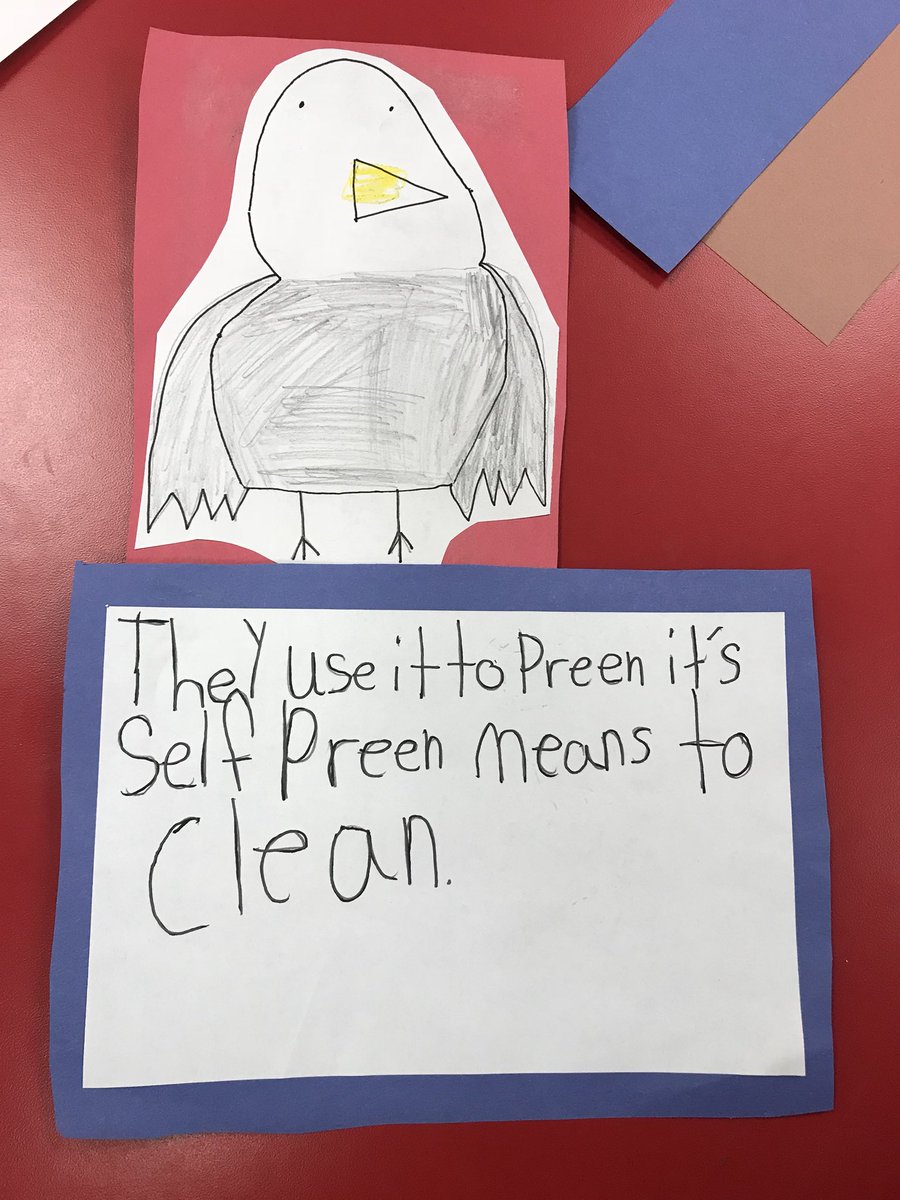 SGReaders's tweet photo. Students using the incredible story of Beauty and the Beak to learn new vocabulary and facts about the Bald Eagle! #crosscurricular #science #reading #nonfiction #socialstudies #SGReaders https://t.co/XCALuvKnsT