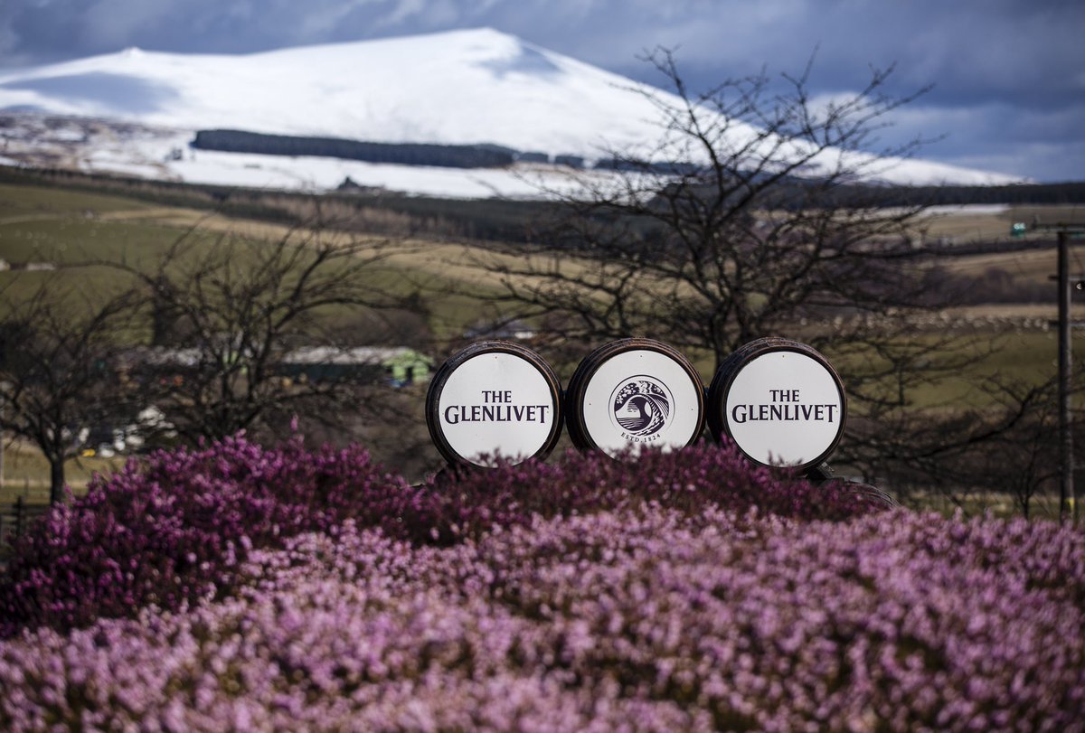 MartinShields1's tweet photo. Todays Instagram. A beautiful morning at the Glenlivit Distillery with the amazing #chivasgraduates at #chivasgradsummit2018. Great colours for pictures at #theglenlivet https://t.co/s99m9LnDOV