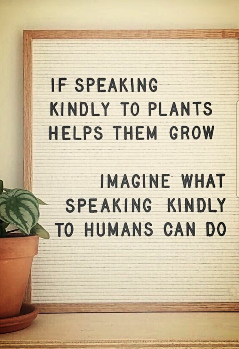 ONTSpecialNeeds's tweet image. Choose kindness.