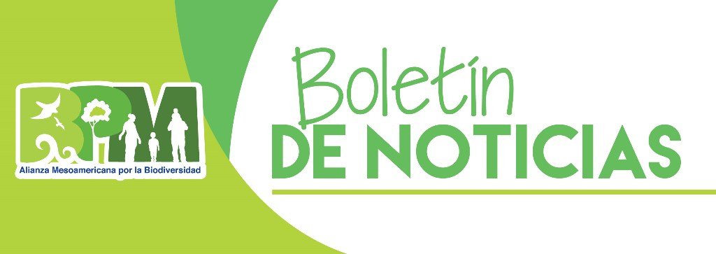 Les compartimos el I boletín de noticias del 2018 de <a href="/BPMesoamerica/">Biodiversity Partnership Mesoamerica (BPM)</a> 

bpmesoamerica.org/2018/04/05/i-b…