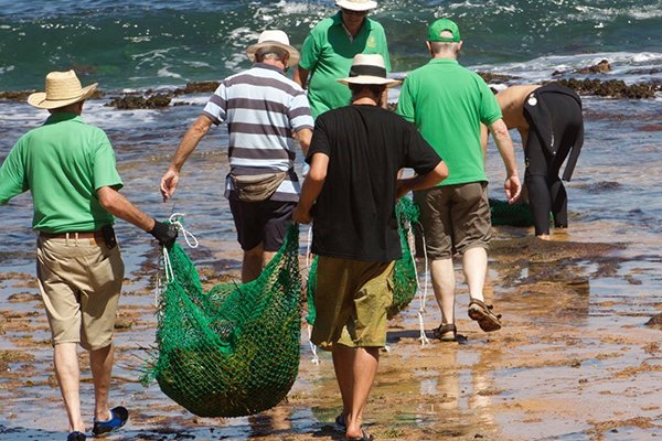 Rotary members plant underwater tress to protect reefs in Australia and restore the natural habitat for marine life. #PeopleofAction on.rotary.org/2uIYg76