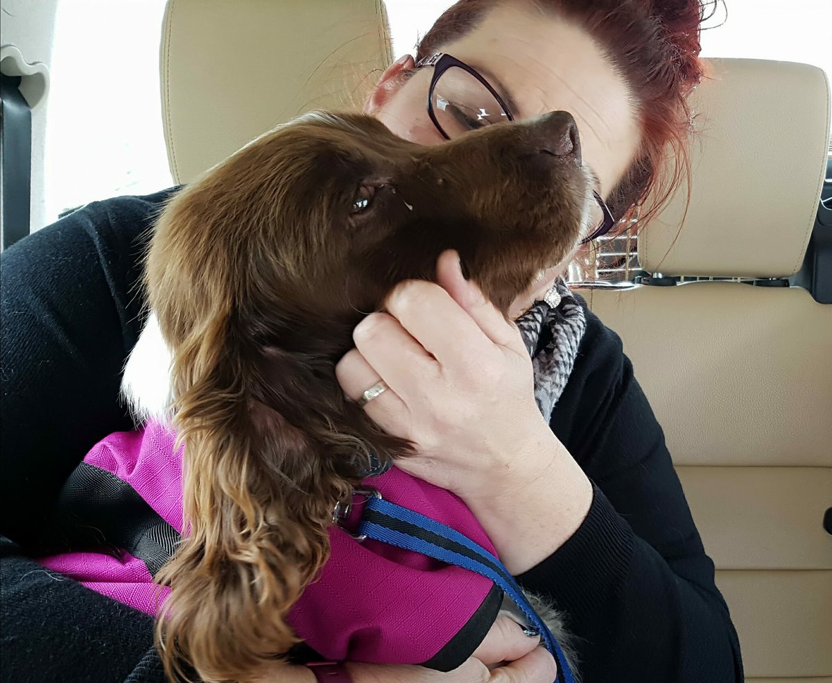 AimeesTweets's tweet photo. Yay! The best news!
For those of you who shared, tweeted, retweeted and signed the petition some great news from the #SaveErnie camp ๐พ https://t.co/ytN9rAVfaQ