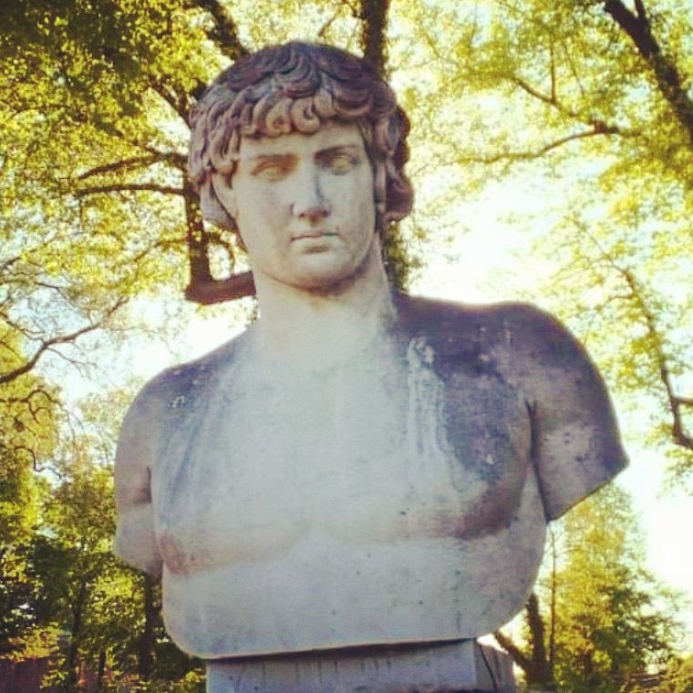 #Antinous replica bust patterned after the @museoprado bust in #Madrid enjoys the springtime weather at #Potsdam outside #Berlin #Germany. #Antinoo #Antinoos. #gardensculpture #gardenstatue