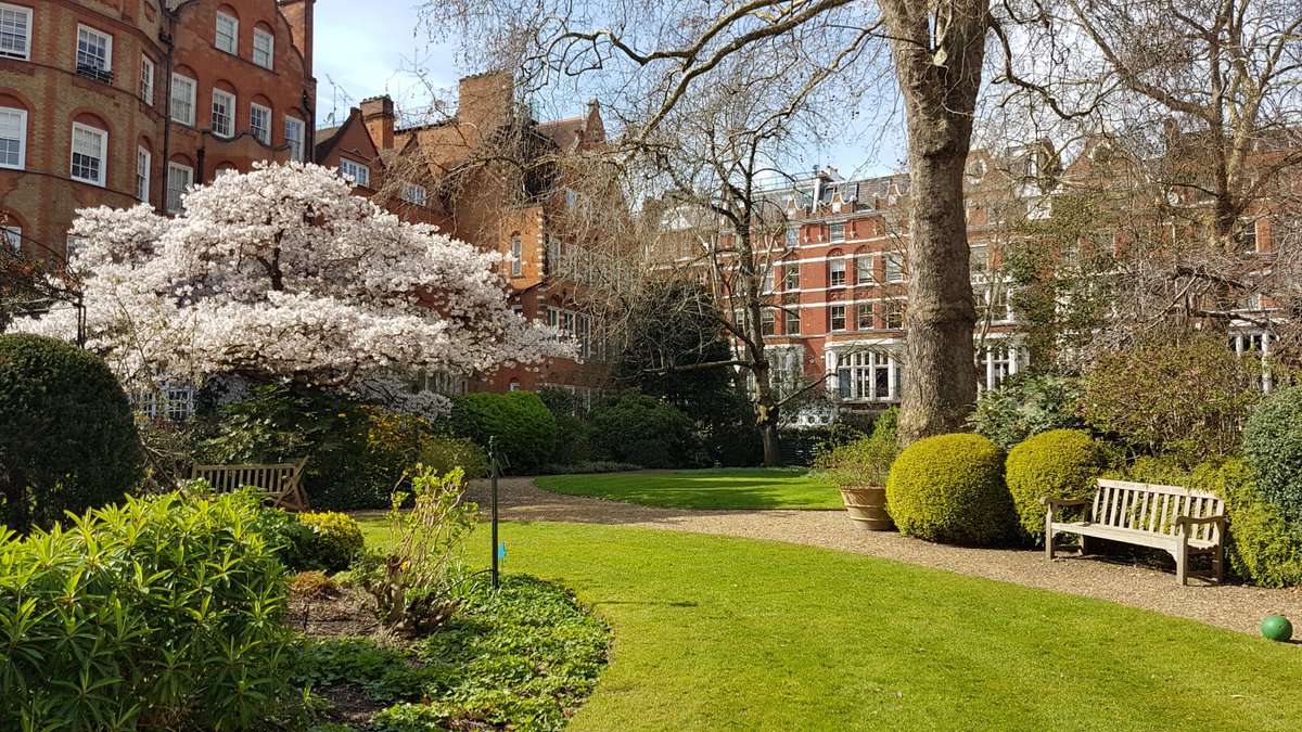 Wishing you all a wonderful Spring Season. Our beautiful Collingham Gardens - view from our Apartments.