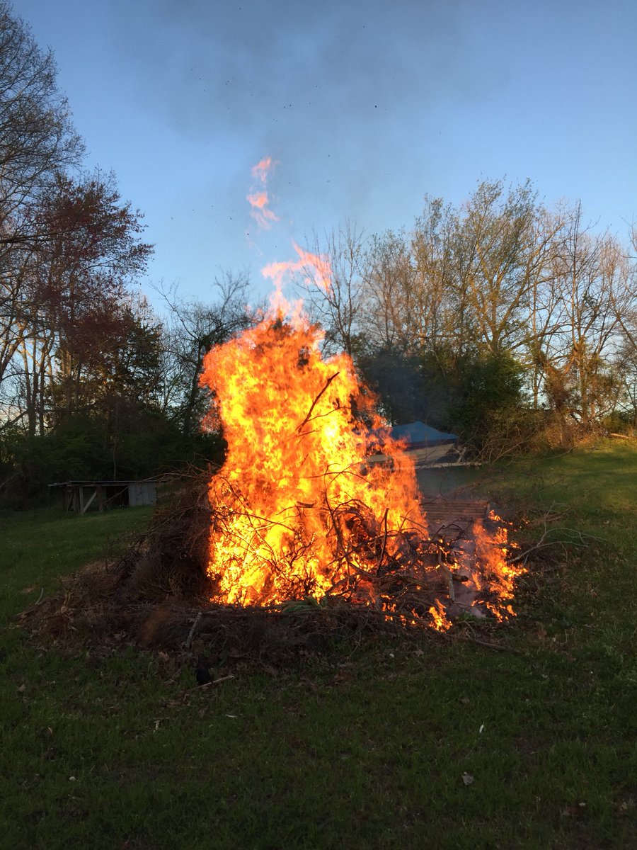 BrooksNickles1's tweet image. Bone fire I had by myself 2 or 3 nights ago burned in like 30 minutes and no I didn’t use gasoline this time :)