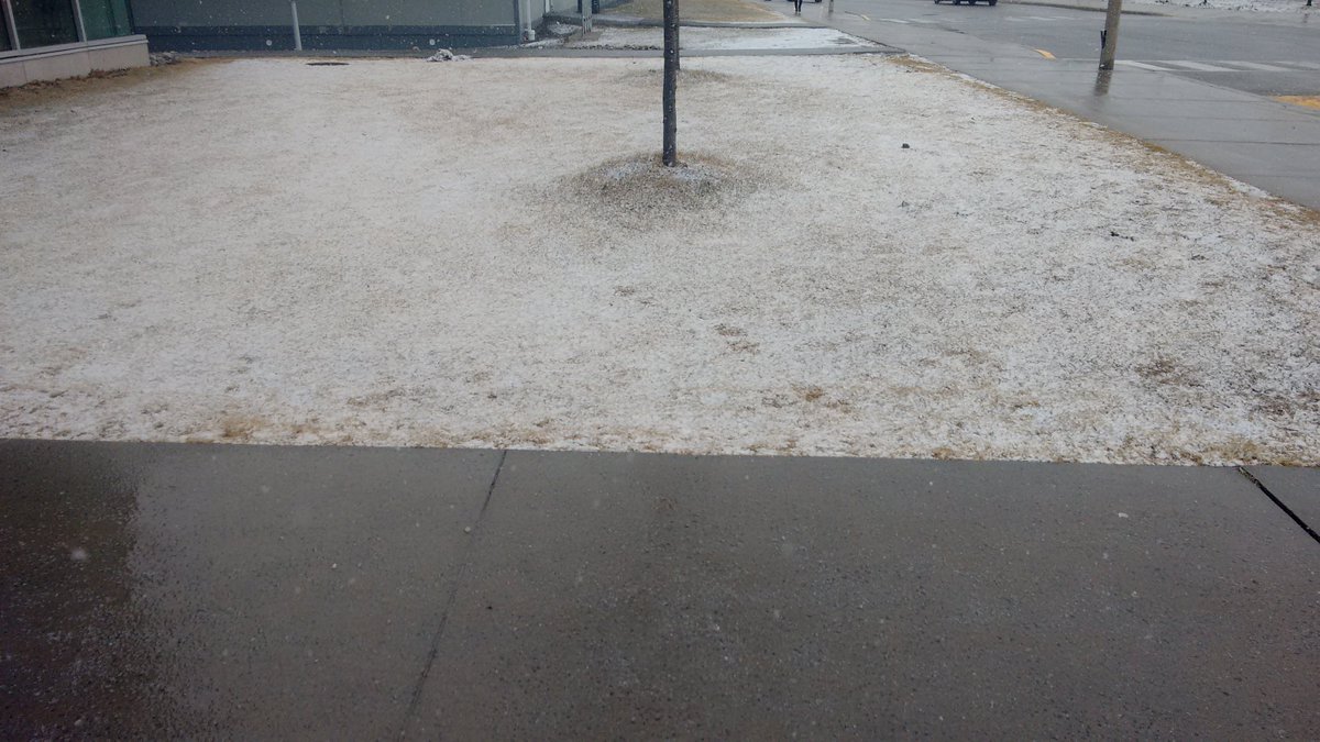 lalitpatnaik's tweet photo. "Concrete is a better conductor of heat than grass," says the snow as it gently settles. #PhysicsInDailyLife @UOIT https://t.co/WMogq74D8z