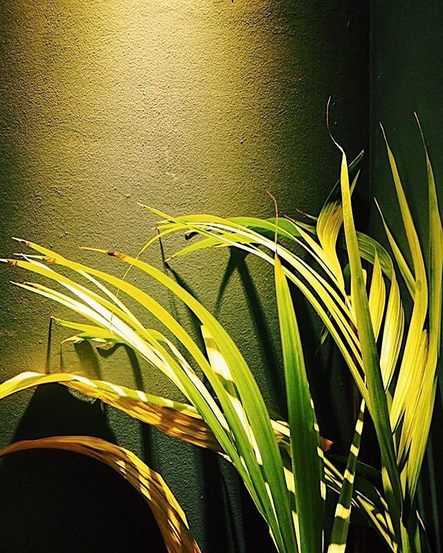 Merchant Pantry tweet media