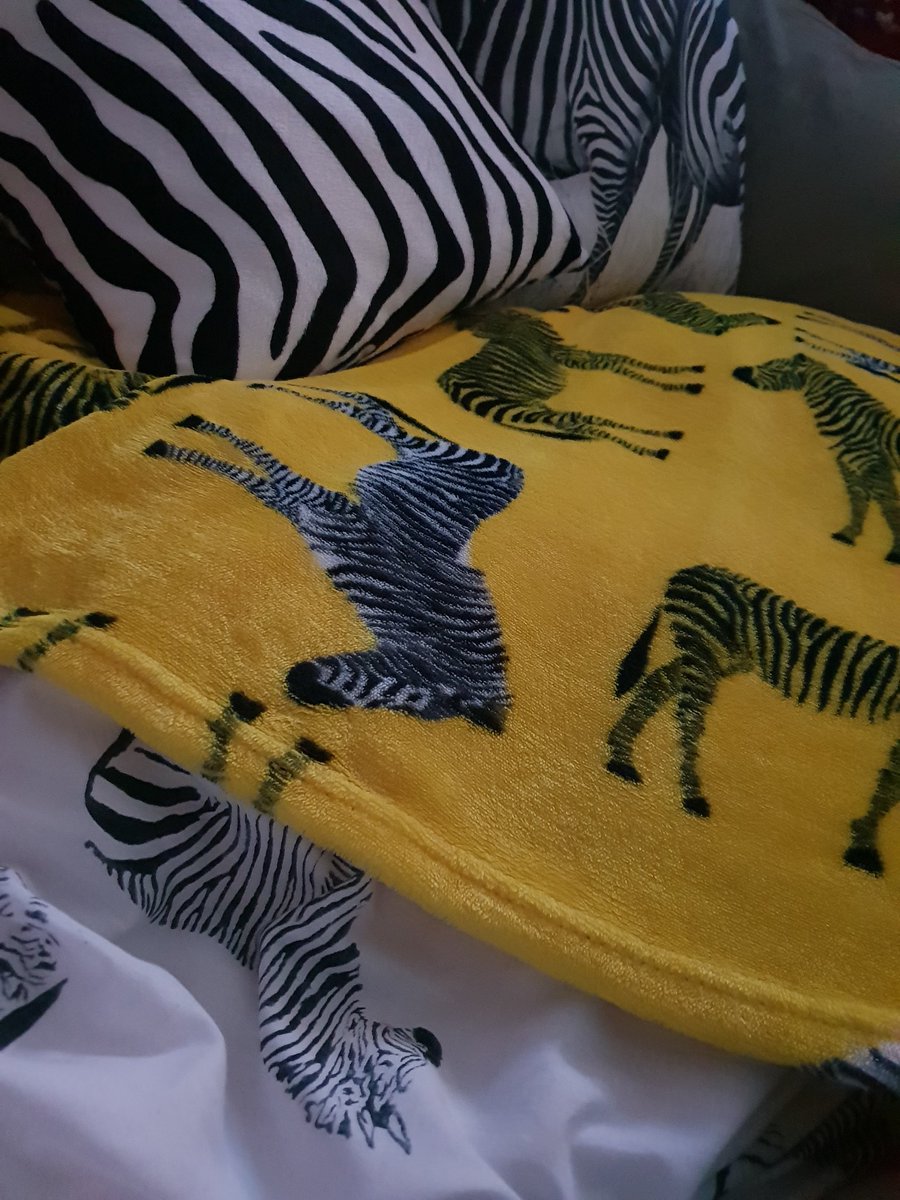 bettyflorence23's tweet photo. Zebras everywhere! #zebrablanket #zebracushion #zebraquilt Love my new blanket from @Georgeatasda Jon calls it my sleepy blanket as everytime he puts it over me I fall asleep #everythingzebra #EhlersDanlosSyndrome #ehlersdanloszebras https://t.co/DBMuCUBNB3