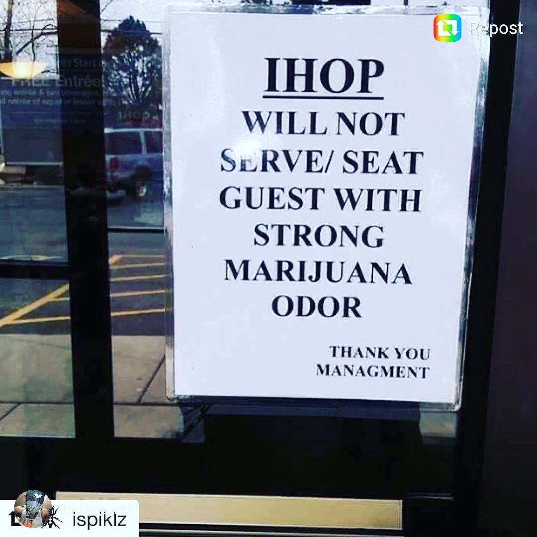 InstaCannaGram's tweet photo. #InstaCannaGram #CannaGram #cannabiscommunity #largecannabiscommunity #cannabismedicinal #420media #canna #cannabis420 #cannabisculture #cannamusic #420music #banned #freedomofspeech #marijuanaporn #weedmemes #cannabisporn #weedbrothers #cannabisculture #canna #cannabislaw #Ihop https://t.co/di15IdurW9