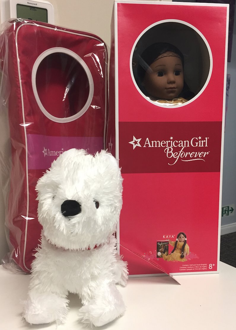 American Girl is back this year at our Annual Luncheon and Auction! This time we have Kaya with her cute pet dog and carrying case. Makes a great gift for that special little one.