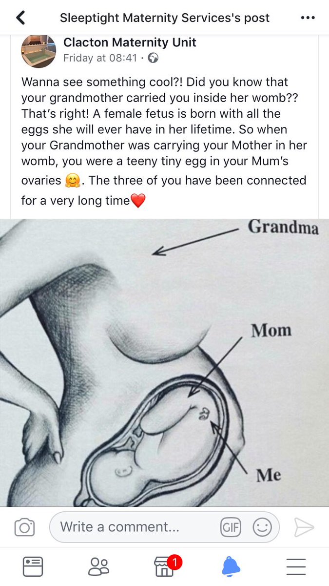 How amazing is this 😍#amazing