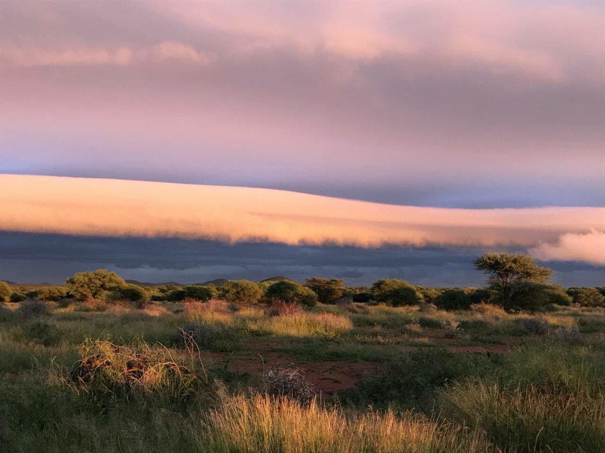 PRGameBreeding's tweet image. The beauty of a perfect African sky over the @madikweconservancy 

#Madikwe 
#MadikweConservancy 
#PurpleRainGameBreeders
#TravelAfrica
#Africa
#Wanderlust
#Friyay
#Sunset 
#PicOfTheDay