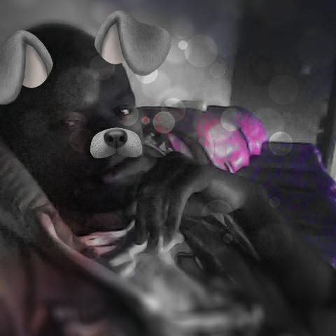 firststephane's tweet image. #NouvellePhotoDeProfil