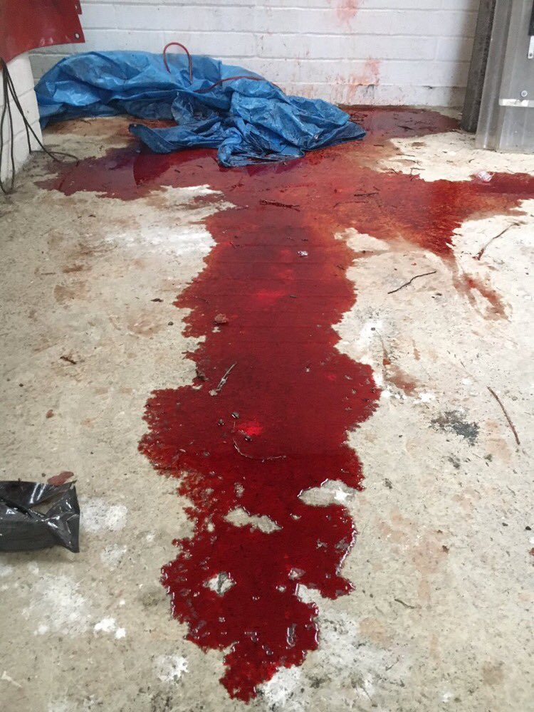 ATACCFaculty's tweet photo. We had a great first day with our #ATACC and #TeamATACC candidates today. Hope you’re ready for tomorrow, where we turn it up a notch (or four). https://t.co/pdHmQvmhmm
