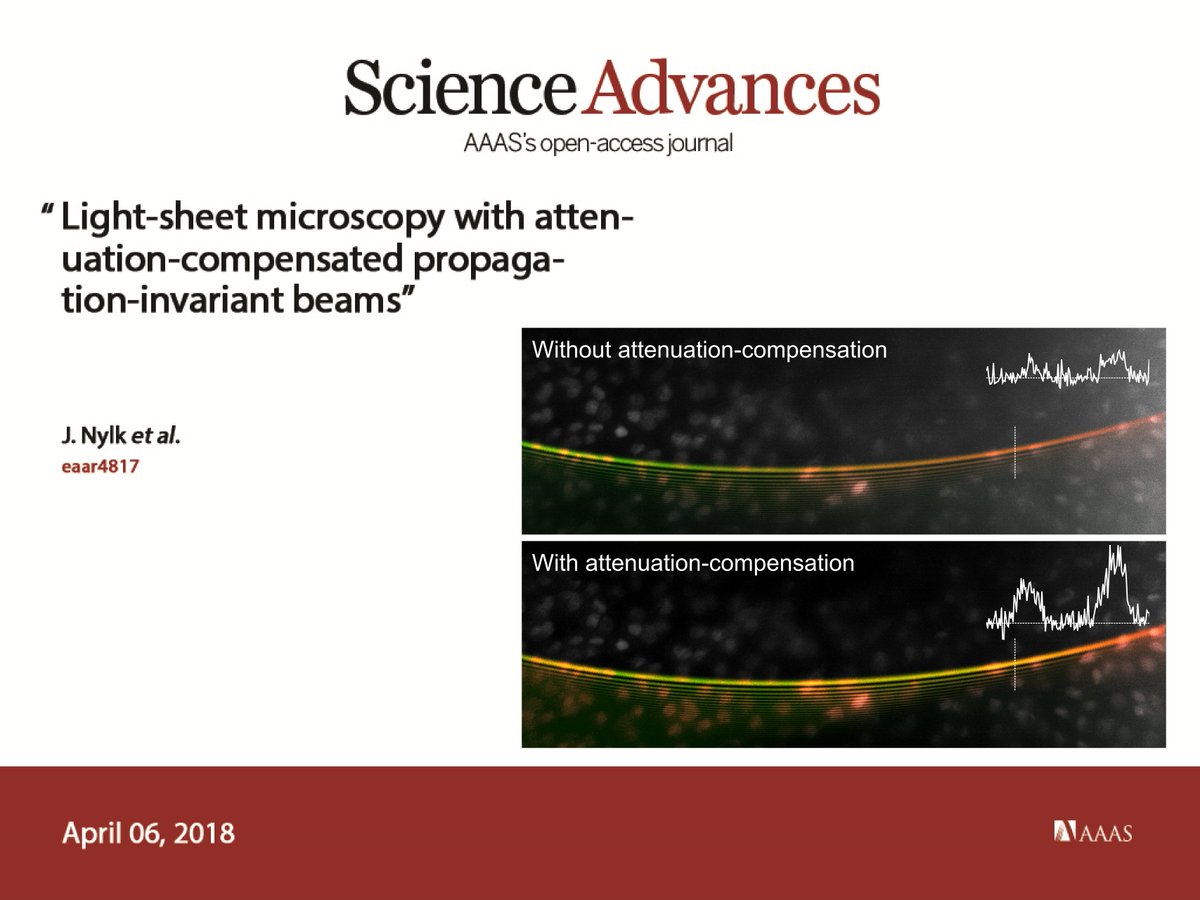 jonathan_nylk's tweet image. Using structured beams for #lightsheet #microscopy? Check out our new paper in @ScienceAdvances on shaping the light for better performance at depth: Light-sheet microscopy with attenuation-compensated propagation-invariant beams doi.org/10.1126/sciadv… #shapedphotonics