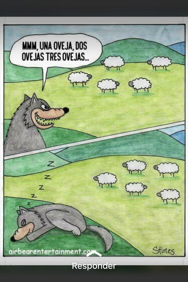 RhinoMontilla's tweet photo. Un #Excelente #Chiste para los #Amantes de las #Ovejas #SheepTeam https://t.co/2DEmdW1ImC
