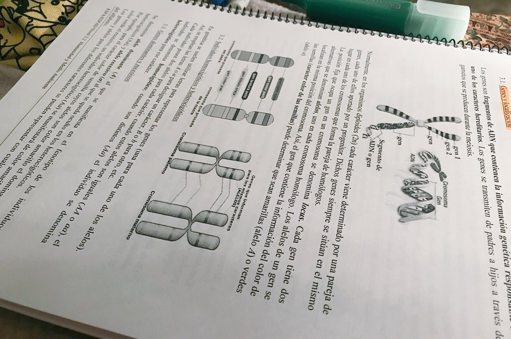 raikmoved's tweet photo. puta biología. https://t.co/8vWdtlaZLj