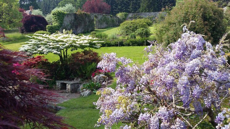 Glanusk Estate, Brecon Beacons tweet media