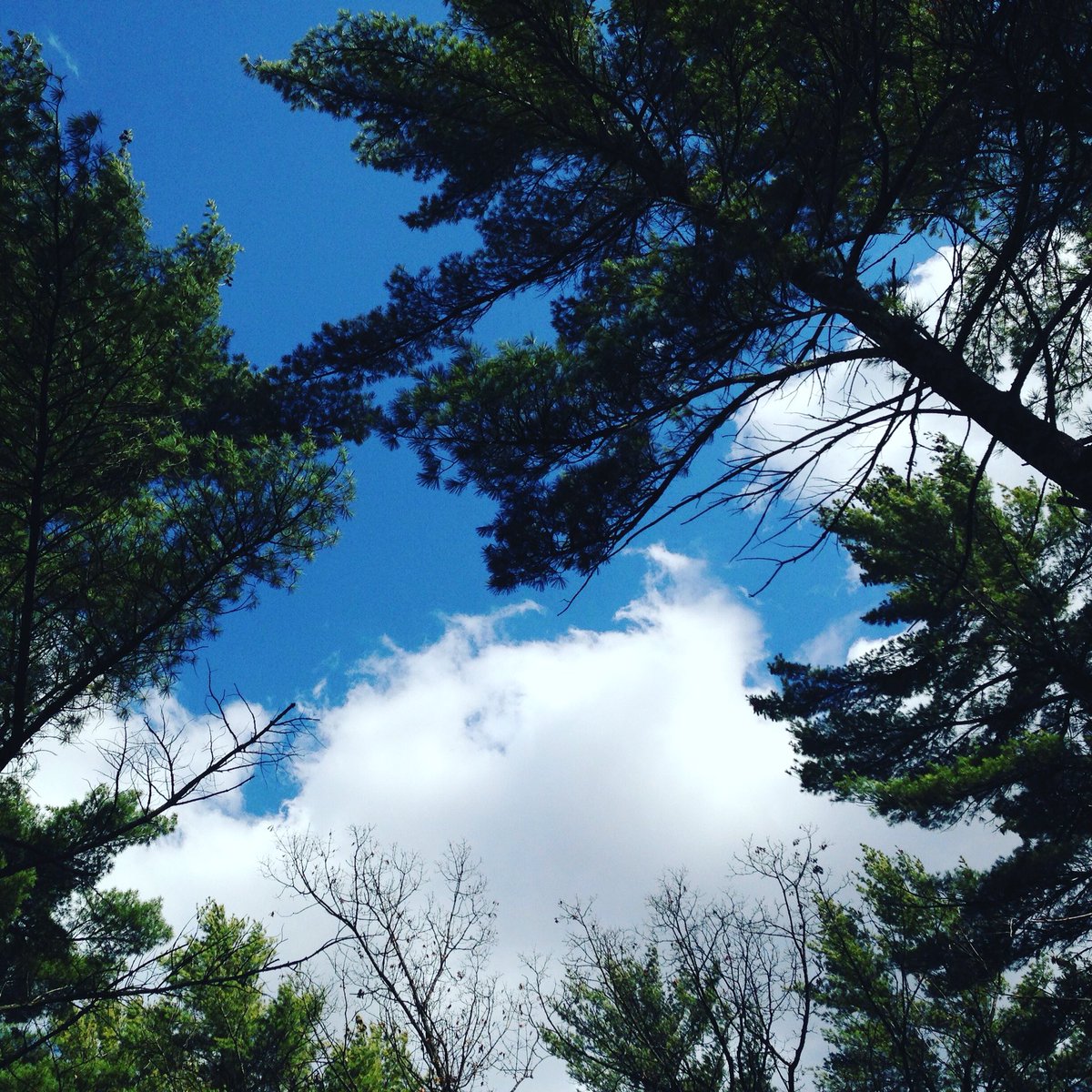 r_wilberg's tweet image. Be a crowd of one. bit.ly/2iJ9231 #crowdbehavior #relationships #perception #groupdynamics #writing #amwriting #poetry #songwriting #songwriter #music #musicismylife #musiclife #piano #millennials #filmmaking #filmmaker #SupportIndieFilm #creativity #creative