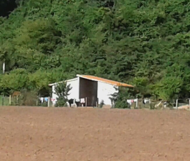 Canal_BoliviaTV's tweet photo. #EnVivo | Pdte. @evoespueblo entrega 4 proyectos de impacto que benefician a 2mil personas de 9 comunidades del Cantón Chiquiacá en el municipio Entre Ríos 1. puente vehicular, 150 viviendas sociales y 4 Radio Bases de Telecomunicaciones Entel. https://t.co/zLej4XLW3K