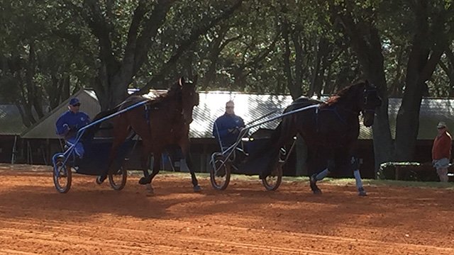 2017 O'Brien Award winners Classic Pro, Percy Bluechip chart first lines of 2018 #harnessracing #OBriens17 goo.gl/1wsJk5