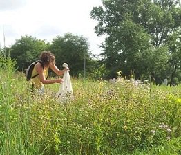 BTNLiveBIG's tweet image. Buzz Buzz 🐝: Grad student @UWMadison looks into the challenges #bees and other #pollinators face and how they adapt to urban environments. 

grad.wisc.edu/2018/04/03/nat…