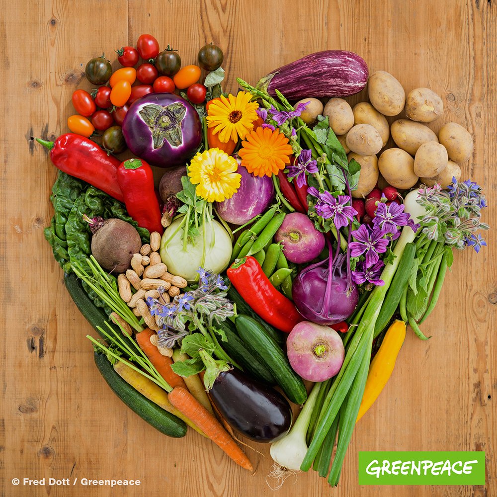 greenpeace_de's tweet photo. Ein Drittel aller Nahrungsmittel landet in der Tonne. Gemüse außerhalb der Norm, kommt nicht in den Supermarkt - mal ist es zu dick, mal zu dünn, mal zu krumm. Aber gegen diese Verschwendung machen Menschen mobil: https://t.co/T9DRAaFS5d https://t.co/eK7utd9fgj