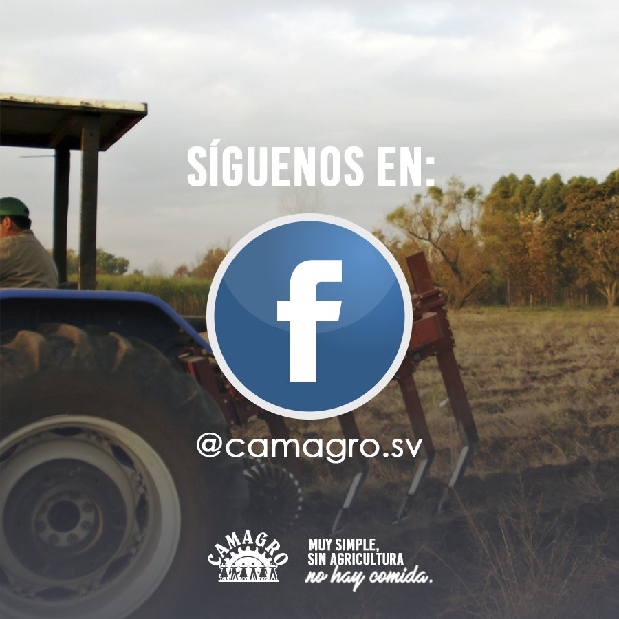 Enterate de todas nuestras noticias de la agroindustria de nuestro país, síguenos en Facebook como: facebook.com/camagro.sv/
#CAMAGRO #SinAgriculturaNoHayComida