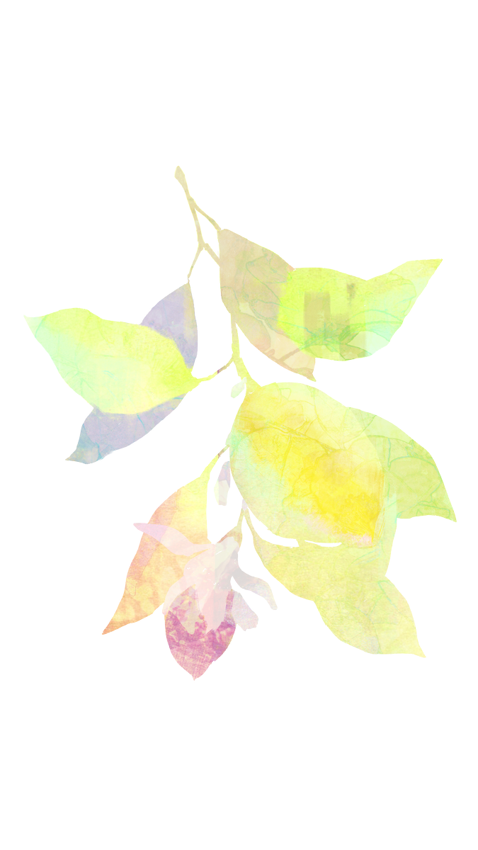 lemon ver.すたんがん 
