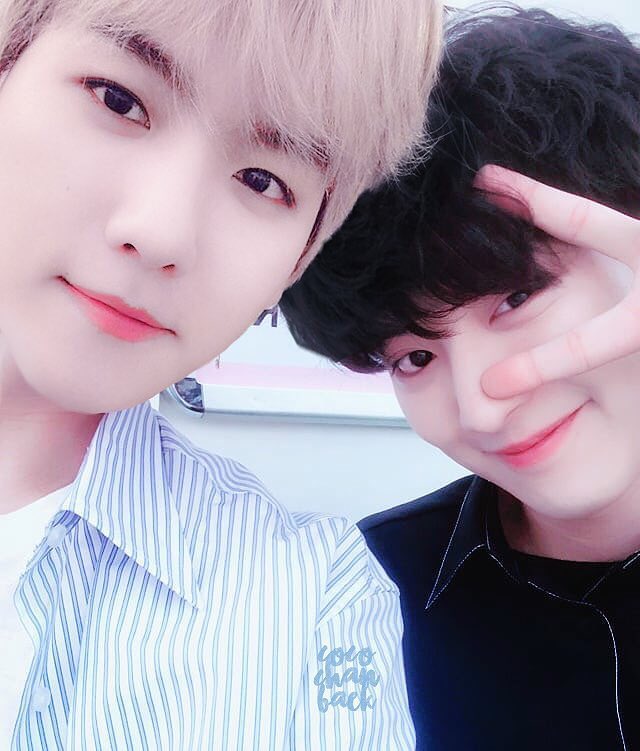 cocochanbaek's tweet photo. 💙💙 https://t.co/V8QXEpNt9z