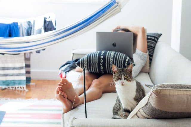 C_Installations's tweet photo. Your home is a thorough investment. Have you addressed these top 7 home improvements? https://t.co/6Ic6RGdiZV https://t.co/feY89RjqmN