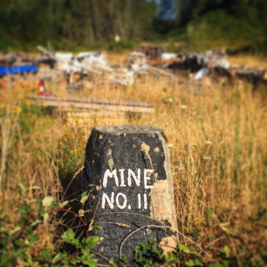 PalmerCoal's tweet photo. Did you know our retail yard was once home to Washington State’s deepest coal mine? We no longer produce coal but offer a wide selection of sand, gravel, topsoil, bark, lava rock, and more! #coal #sand #gravel #landscapematerial #topsoil #beautybark #blackdiamond https://t.co/p1lNX3GzDj