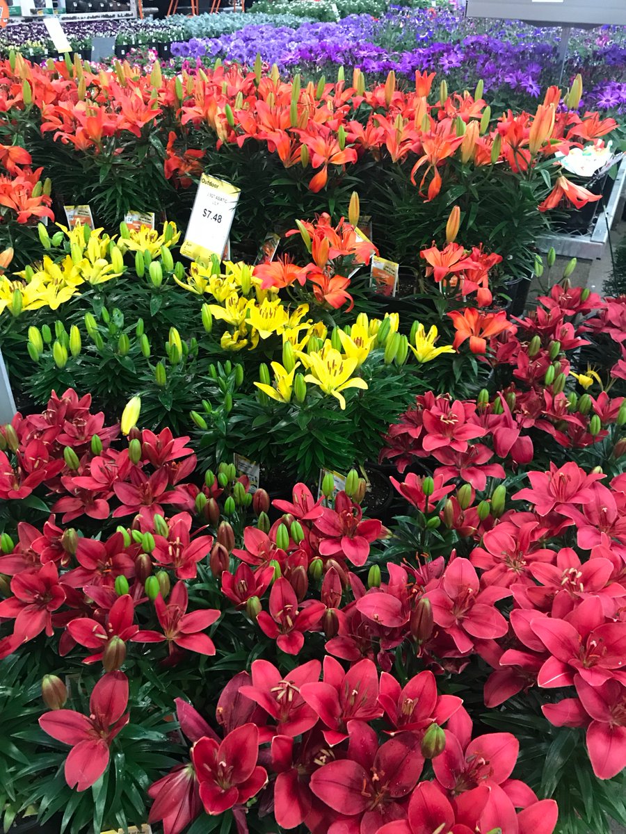 THDPNWPride's tweet image. Meet Shari and Matt from Team Aurora! Thanks for kicking off our D19 Garden Gold Cup with your engagement around Live Goods and eGo mower! 🏆#PNWSBF