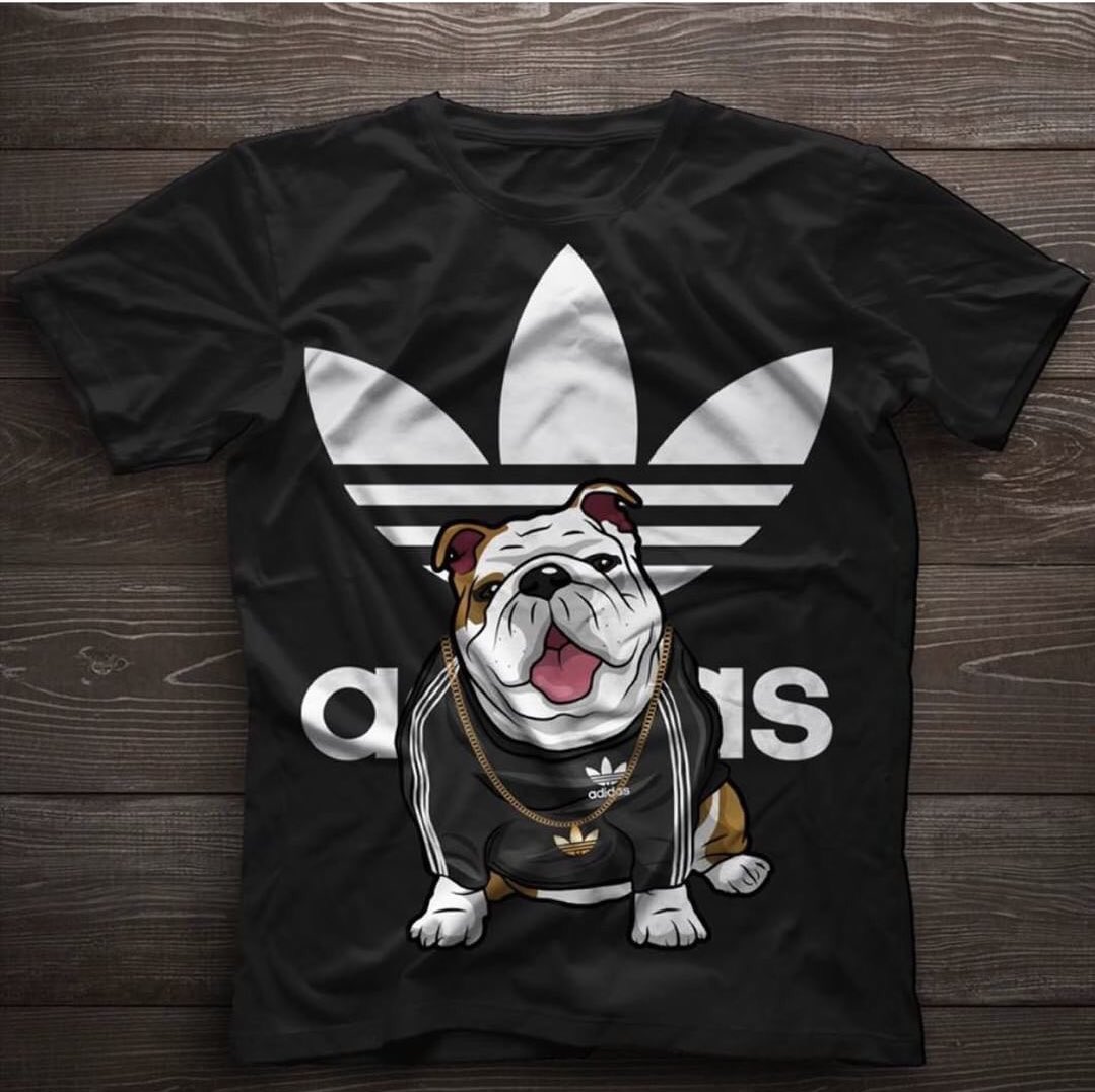 adidas dog