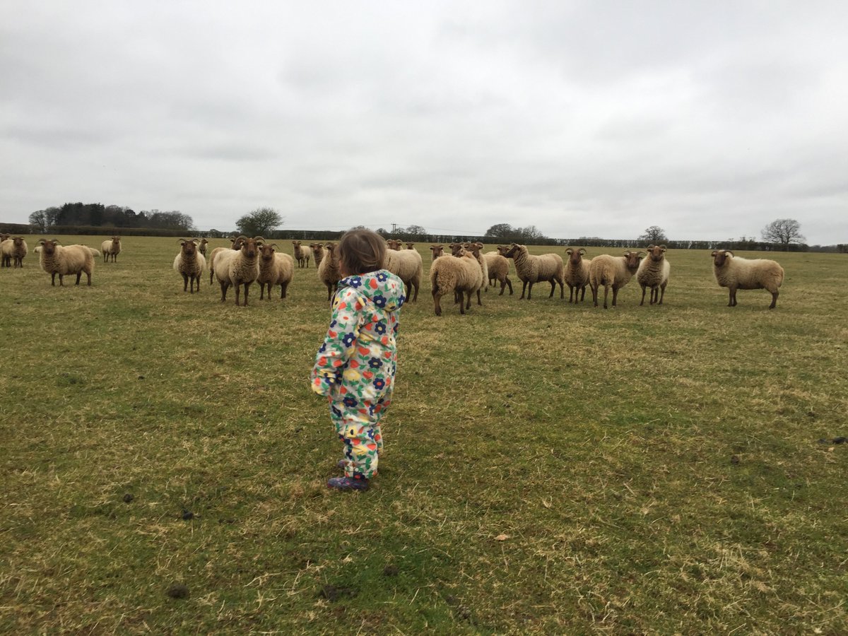 LCOFarm tweet picture