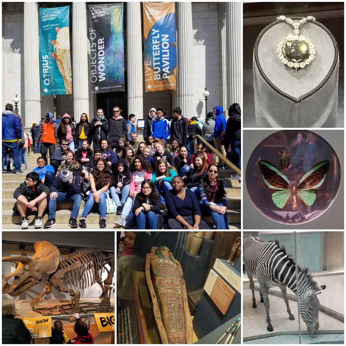 CounselingHSP's tweet photo. Thank you to UMBC ETS program for a wonderful day at the Smithsonian -Museum of Natural History. https://t.co/s8N7naG7lp