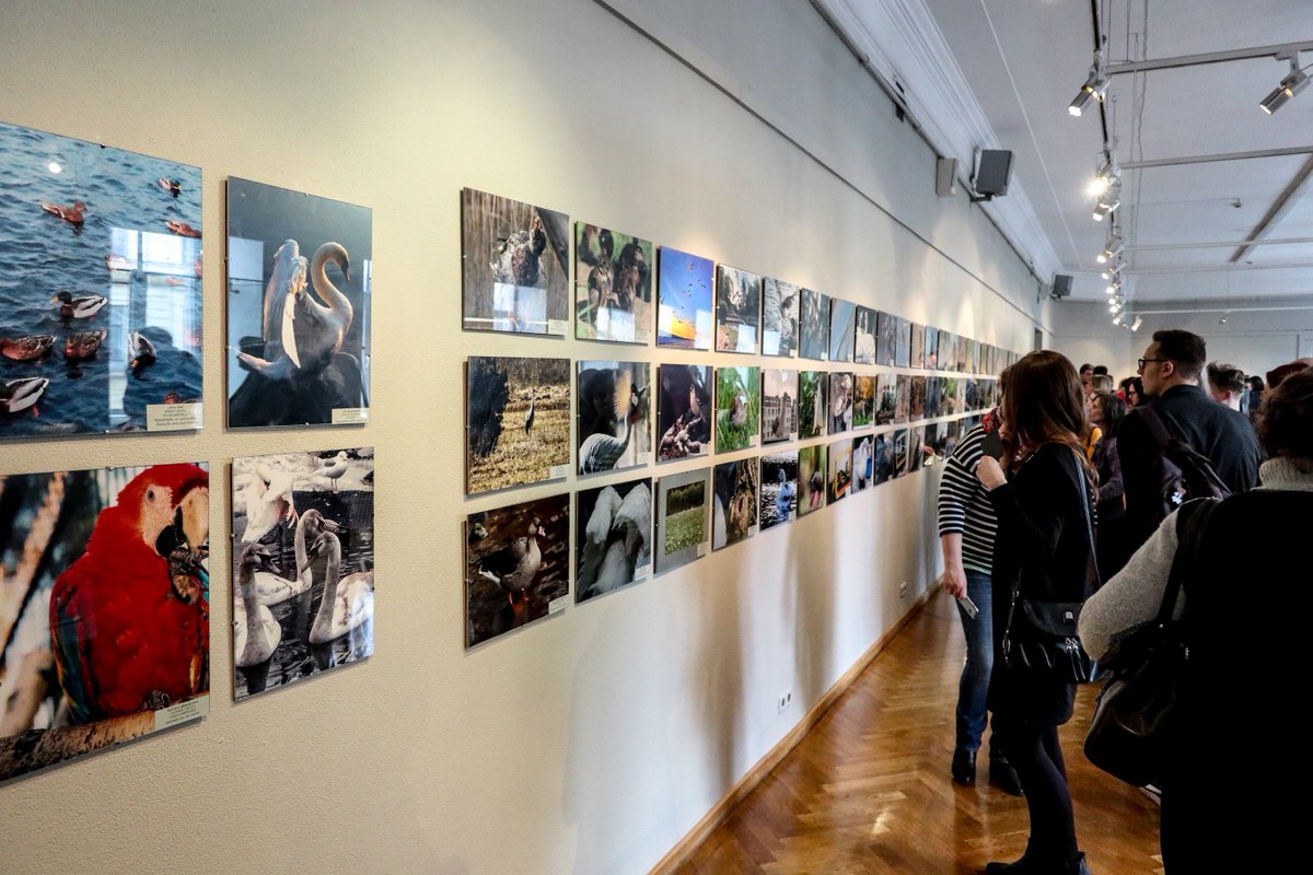 CBCIBServiss's tweet photo. Konkurss fotoizstāde "Mans putns 2018" Vairāk informācijas šeit: https://t.co/kIWLkBpNtx https://t.co/WlSuJw87QH