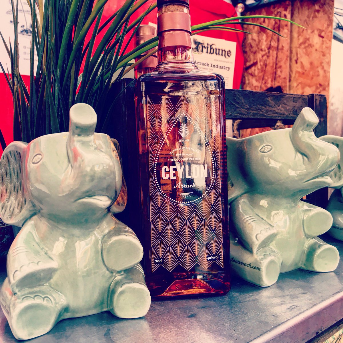 ceylonarrack's tweet photo. @cocktailsinthec tonight #beerpong win a #ruby mug & other prizes @opiumchinatown ... its #Friday #drinks ... see you all soon
.
.
#arrack #coconut #CITCLDN #london #traditionalmethods #toddy #toddytapper #organic #srilanka #spirit #sustainability #carbonneurtal #distillery https://t.co/lbW45HxoyD